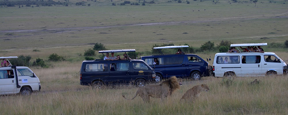 Best Kenya Budget Safari