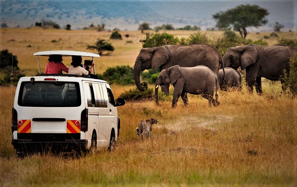 Kenya Camping Safari Packages