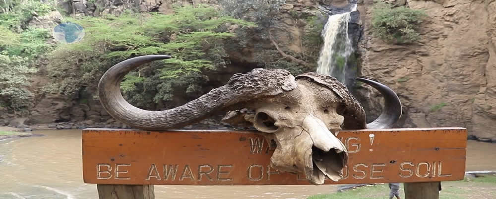 Kenya Camping Safari