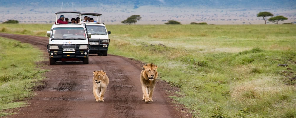 Masai Mara Lodge Safari